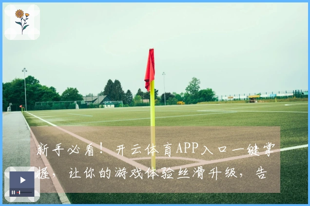 新手必看！开云体育APP入口一键掌握，让你的游戏体验丝滑升级，告别卡顿烦恼