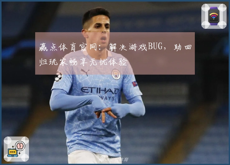 赢点体育官网：解决游戏BUG，助回归玩家畅享无忧体验