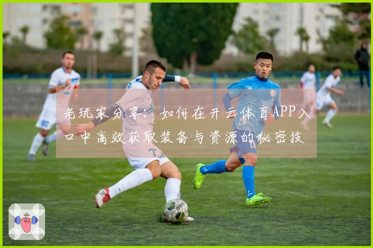 老玩家分享：如何在开云体育APP入口中高效获取装备与资源的秘密技巧